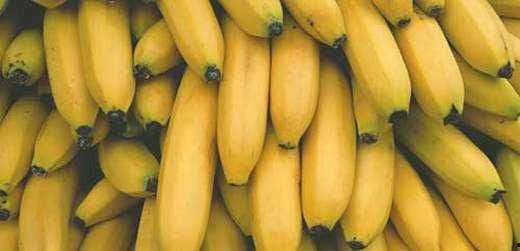 香蕉网国产,探索本土创意与产业的融合之路  第3张